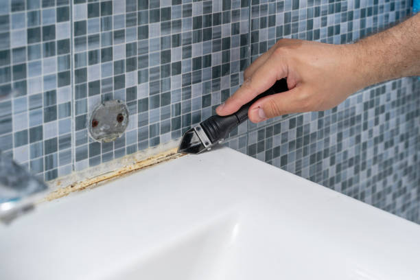 Best Mold Remediation for Specific Building Types in Oyster Creek, TX